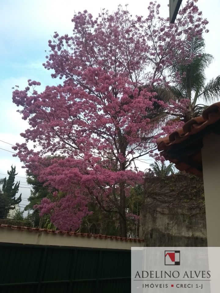Casa para Venda - MORUMBI